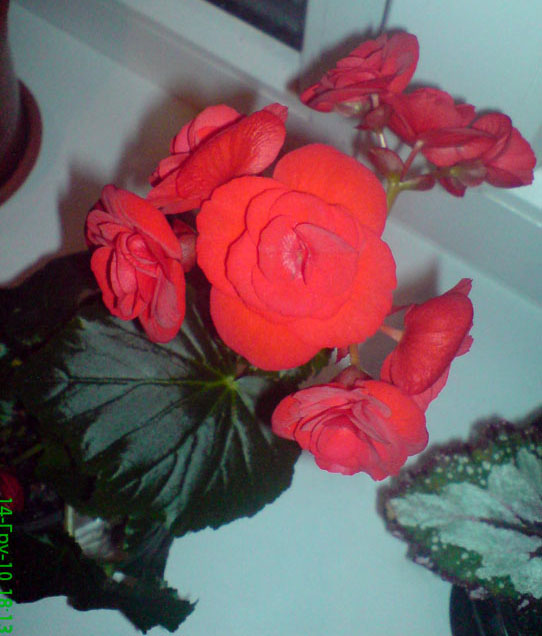 DSC00326.jpg