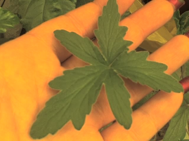 21-09-06_0952.jpg