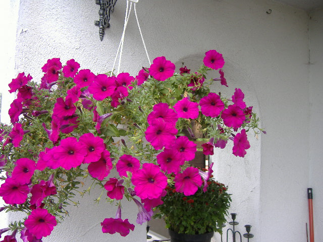 DSCF1479.JPG