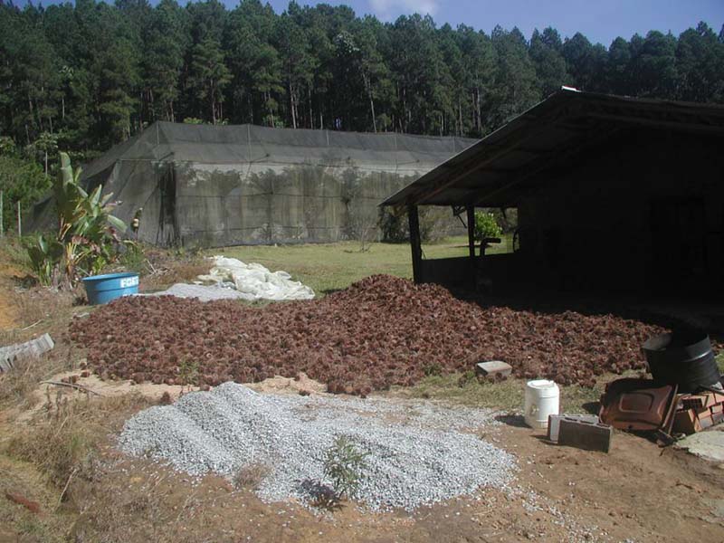 image001-2.jpg
