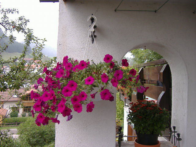DSCF1478.JPG