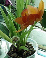 P2010590.jpg
