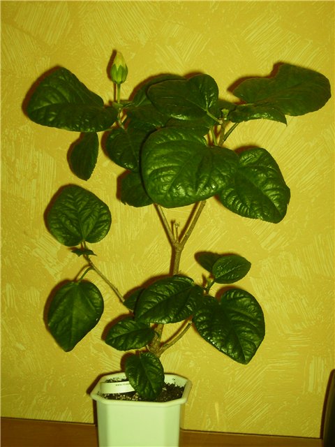 e095d0060ba5.jpg
