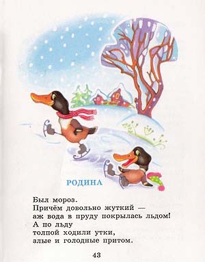 utki1.jpg