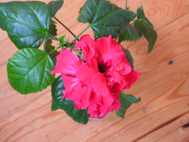 2006_09_30 004.jpg