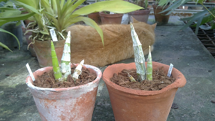 14022011264.JPG