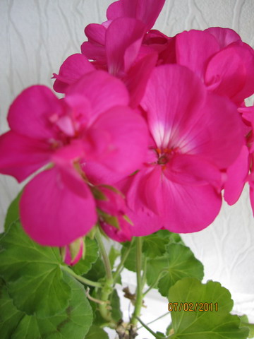 img 040_.jpg