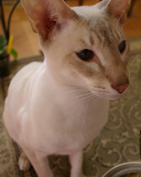 IMGP0430.JPG