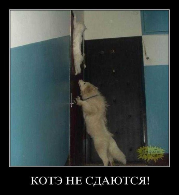 dfa7fe4ec9ca6ddc7283e02483c5cda3fe6a9cdc_1.jpg