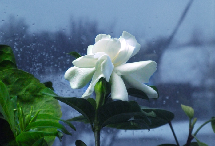 DSCF1274_.jpg