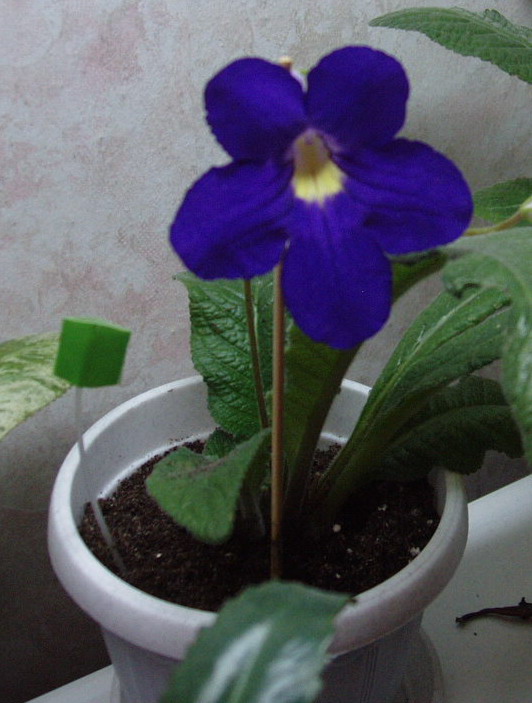 PA030037_01.jpg