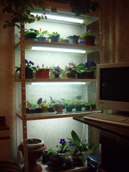 PA030032_01.jpg