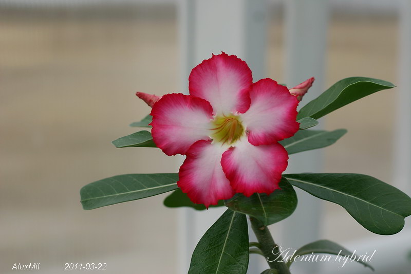 CRW_1420_RJs.JPG