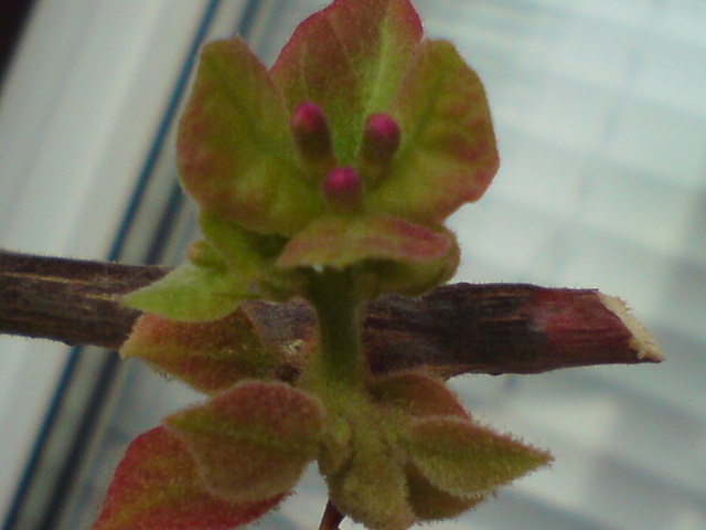 DSC02663.JPG