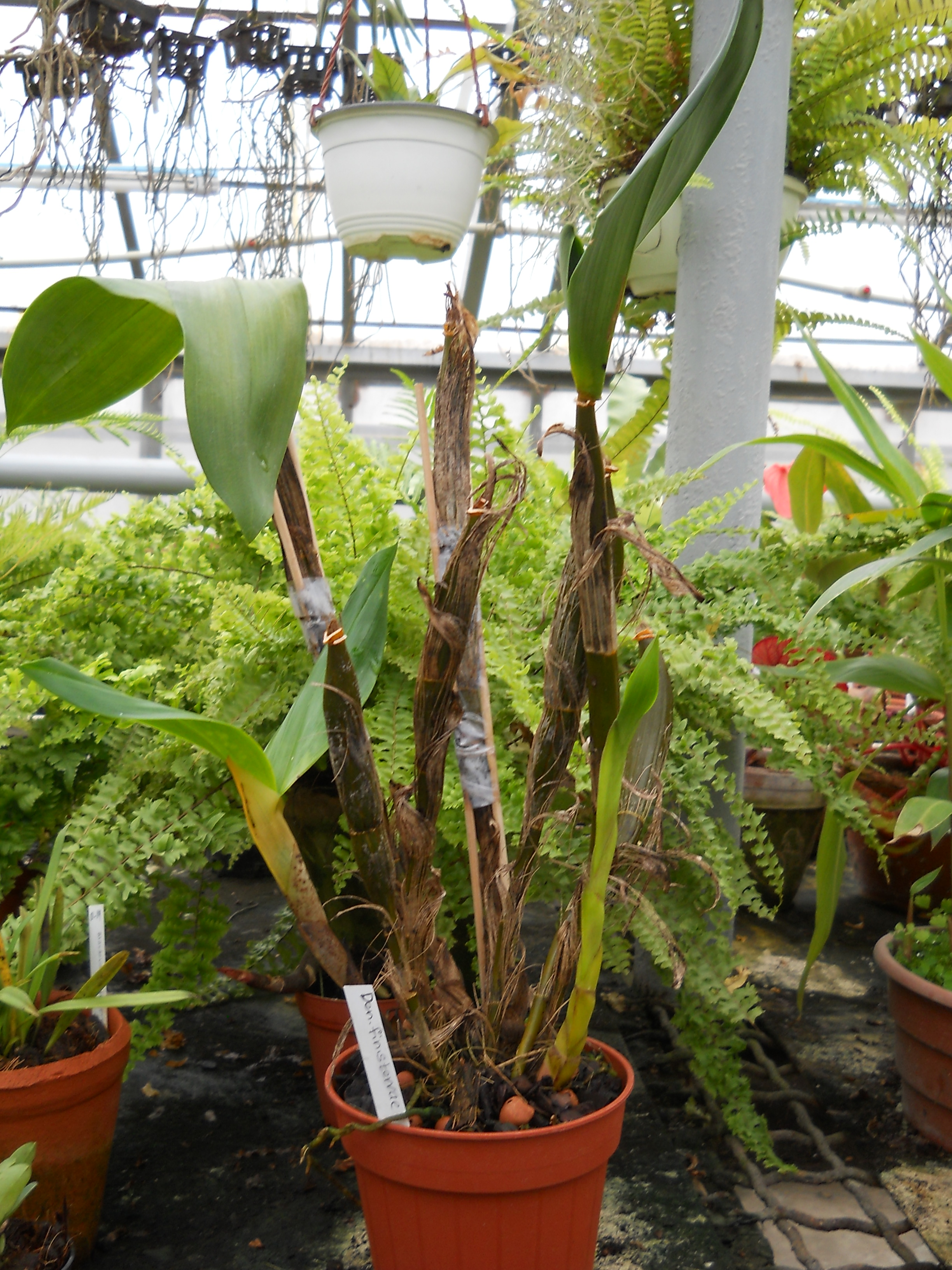 DSCN1288.jpg