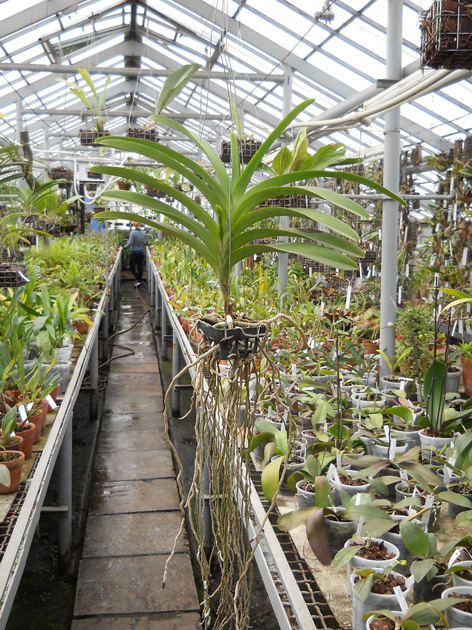 DSCN131007.jpg