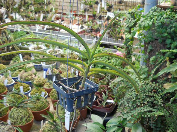 DSCN132101.jpg