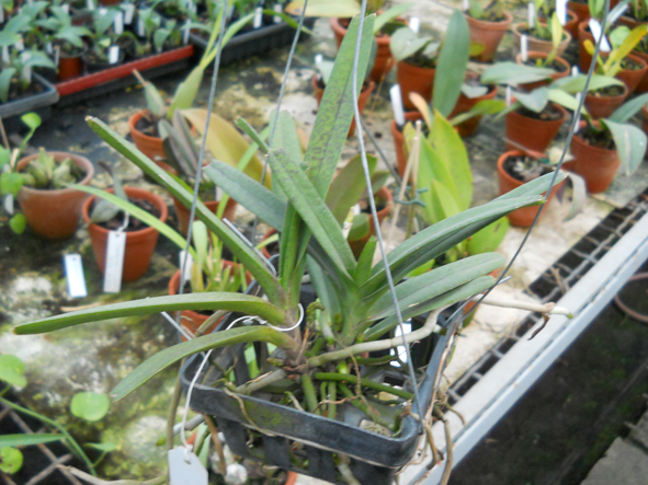 DSCN132500.jpg