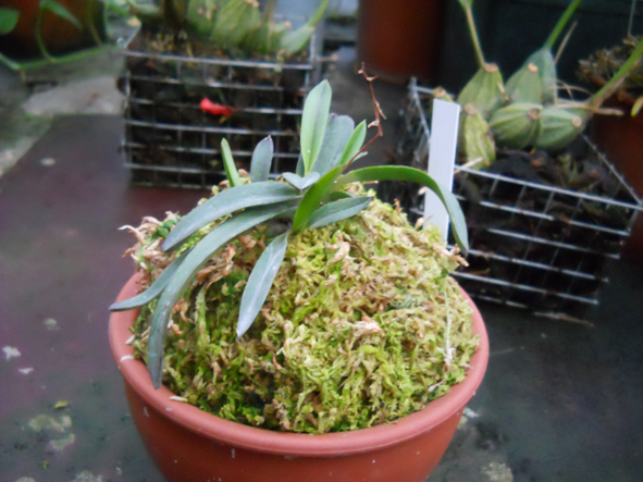 DSCN132600.jpg