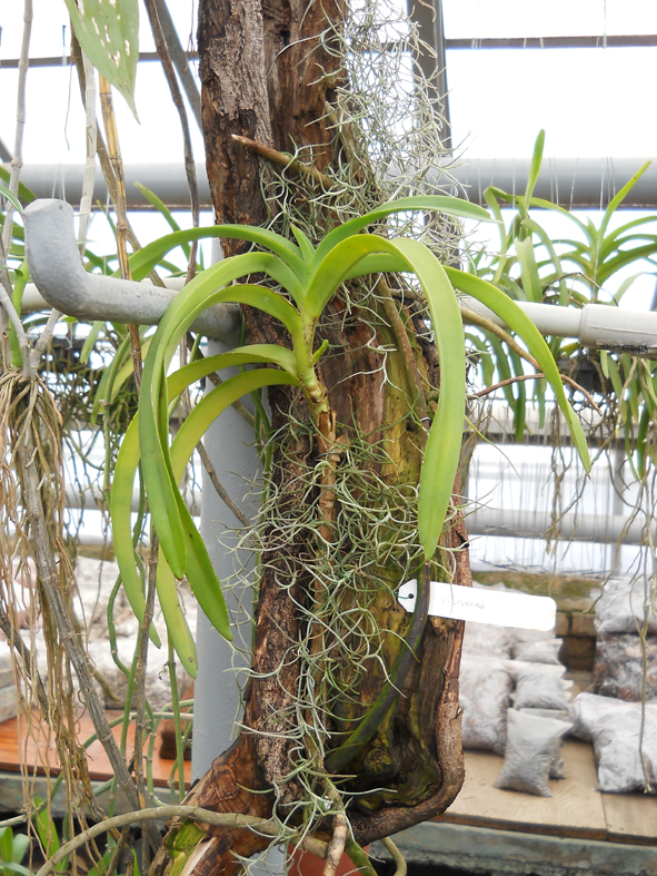 DSCN133200.jpg
