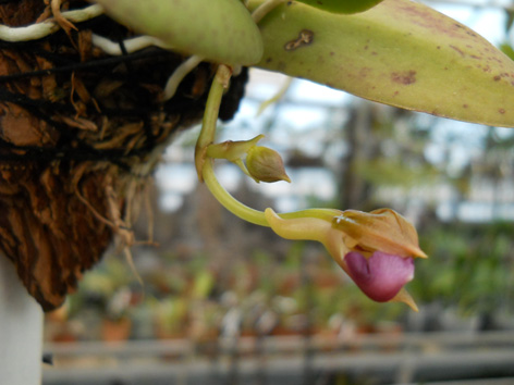 DSCN136602.jpg