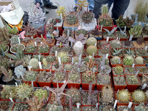 15042011146.jpg