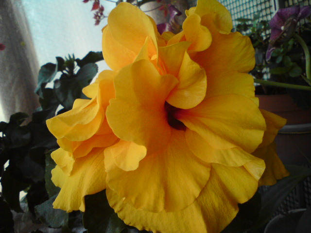 DSC02757.JPG