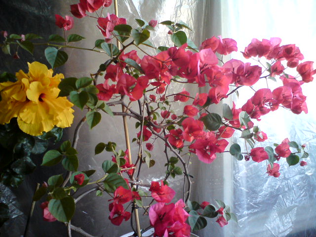 DSC02766.JPG