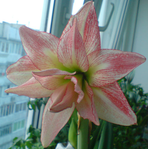 DSC00364.JPG