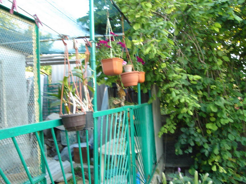 DSC03857.jpg