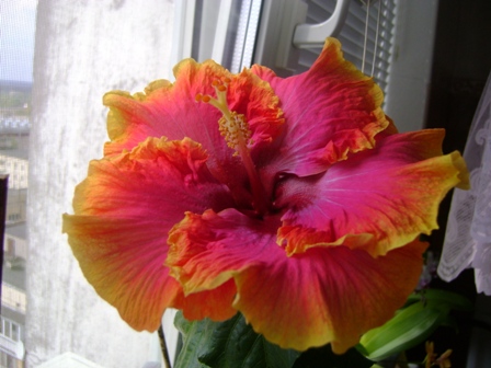 DSC02464.JPG