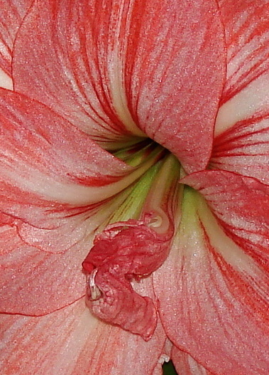 DSC02479ЛДЖ.jpg