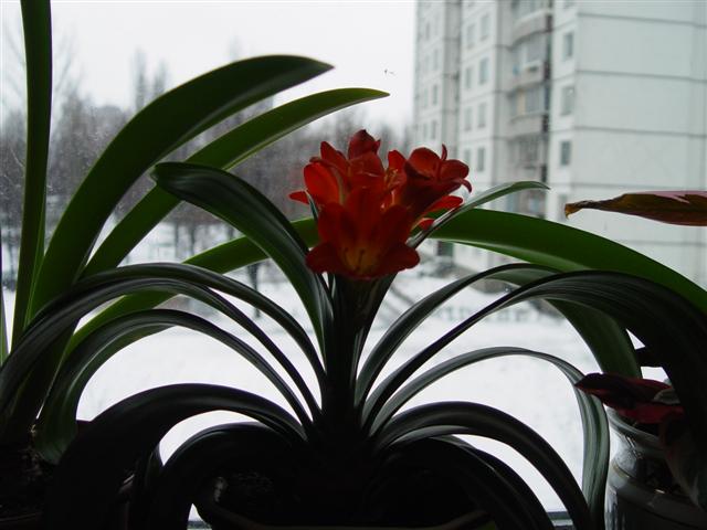 Picture 001.jpg