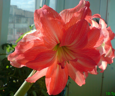 DSC00390.JPG