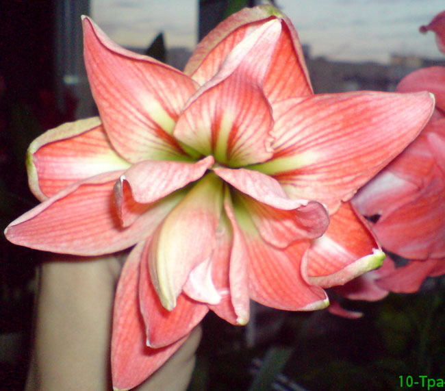 DSC0031.JPG