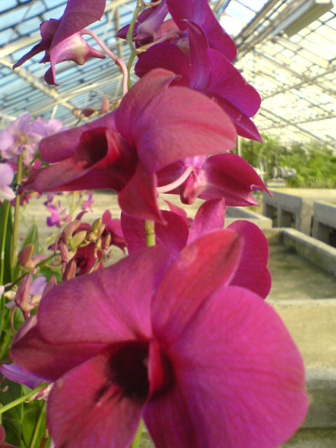 DSC00082.JPG