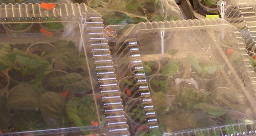 PA0923851.jpg
