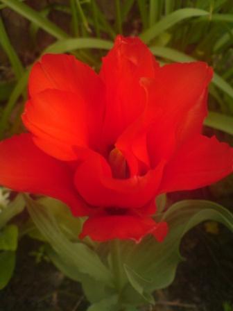 DSC00039.JPG