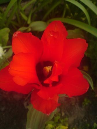 DSC00040.JPG