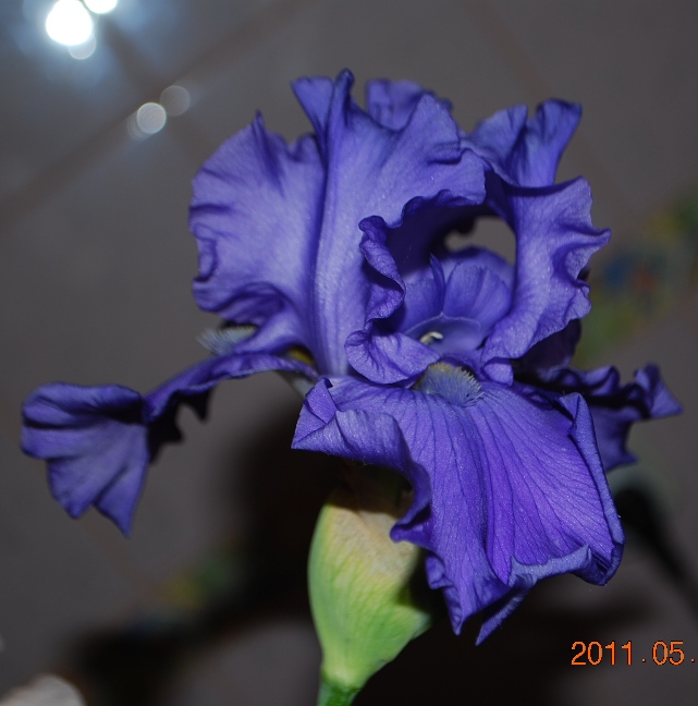 DSC_0760.JPG