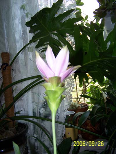 101_0100.jpg