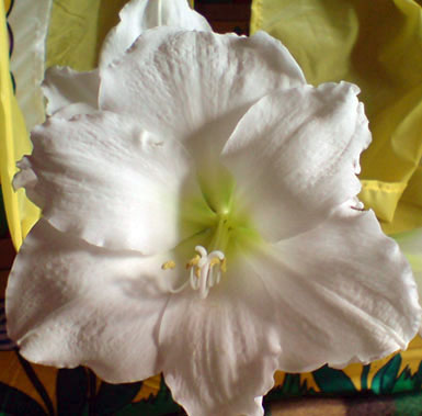 DSC00095.JPG