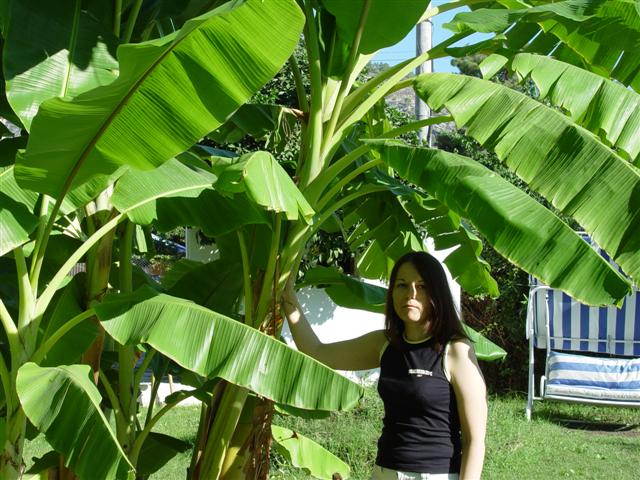 Picture 015.jpg