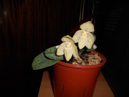 DSCN0223.JPG