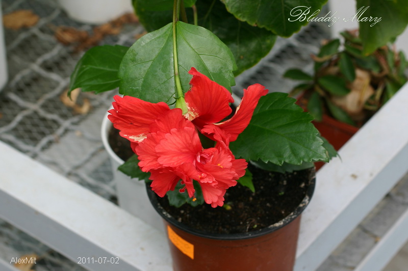CRW_2427_RJs.JPG