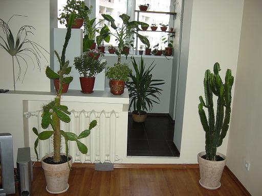 P1030240w.JPG