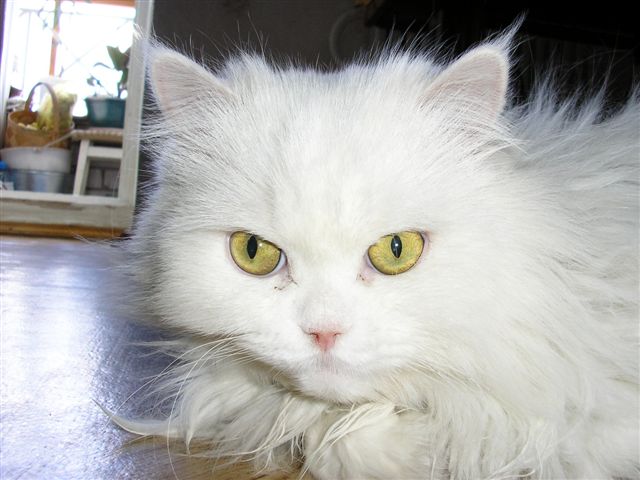 P1010009.JPG
