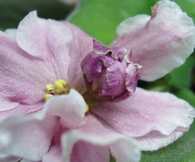 PB010004_01.jpg