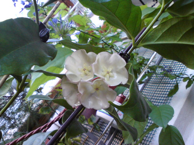 DSC03887.JPG