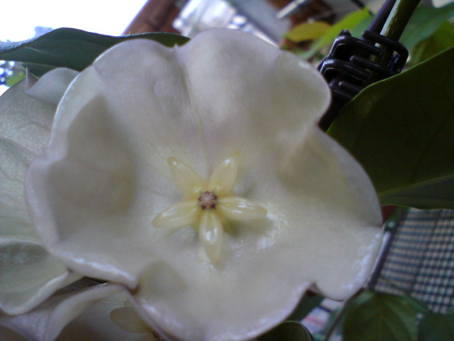 DSC03886.JPG